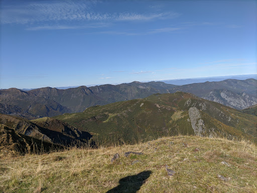 Picu Mocosu photograph