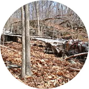 Piedmont Airlines Flight 349