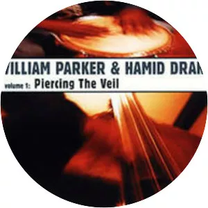 Piercing the Veil - Album by Hamid Drake and William Parker