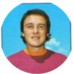 Piergiorgio Negrisolo