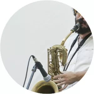 Piero Bittolo Bon Musician - Musical artist