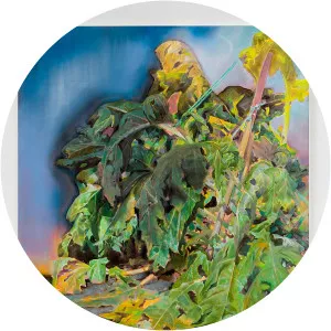 Pierpaolo Campanini - Visual artist