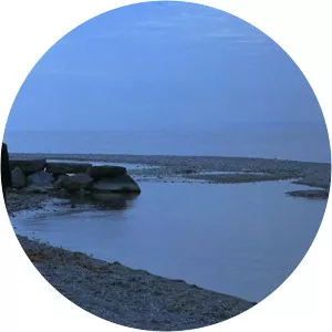 Pierre-Alain Besse - Cinematographer