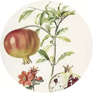 Pierre Jean François Turpin