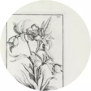 Pierre Joseph Garidel