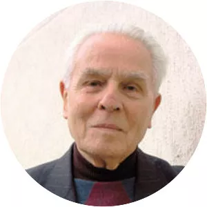 Pierre Pierrard - Historian