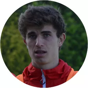 Pierre-Yves Hamel - French football player