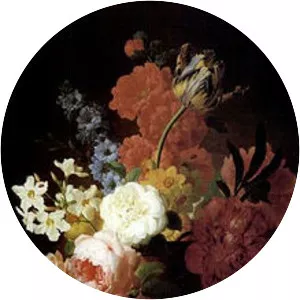 Pieter Faes - Painter