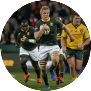 Pieter-Steph du Toit - South African rugby union player