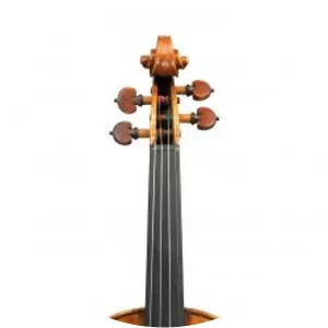 Pietro Giovanni Guarneri - Musician