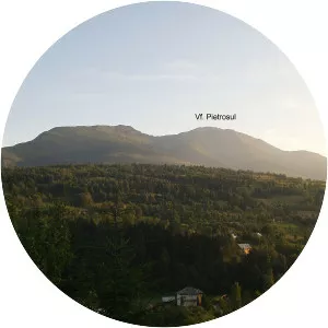 Pietrosul Rodnei (Vârful Pietrosul Rodnei)