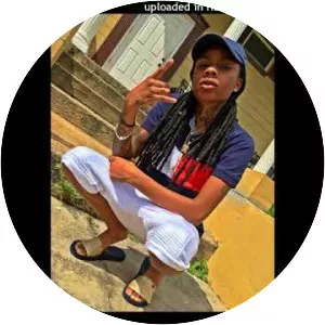 Pig The Gemini photograph