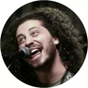 Pigeons Playing Ping Pong