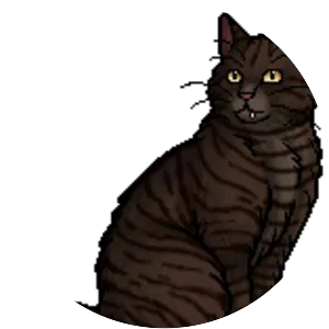 Piketooth photograph