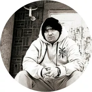 Pikkupiru - Musical artist