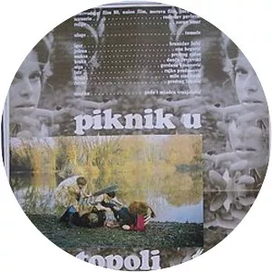 Piknik u Topoli
