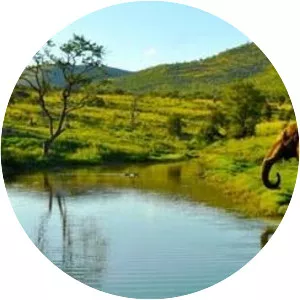 Pilanesberg - Mountain in South Africa