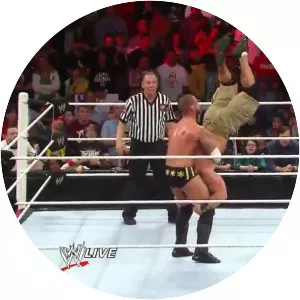 Piledriver - Professional wrestling