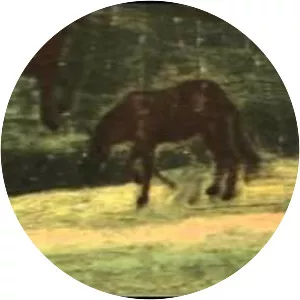 Pilgrimage Church of Wies