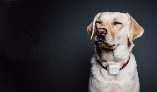 Pilotfish - Design agency in Taipei, Taiwan