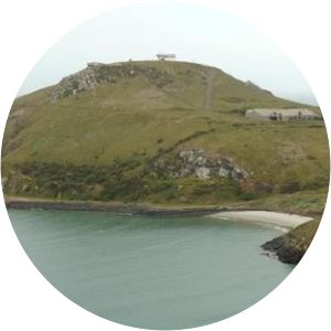 Pilots Beach - Beach in New Zealand