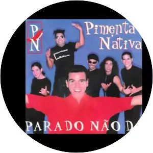 Pimenta N'ativa - Musical group