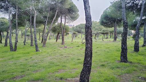 Pinar de Fuente Marcela - Park in Majadahonda, Spain