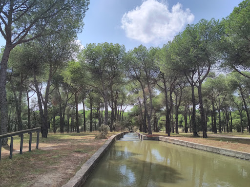 Pinar de las Rozas - Park in Spain
