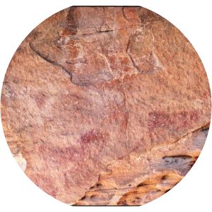 pinares de rodeno abrigo del tio campano