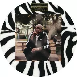 Piñata - Studio album by Freddie Gibbs and Madlib