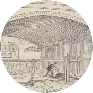 Pinchin Street torso