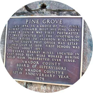 Pine Grove