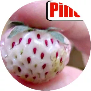 Pineberry - Plants