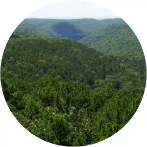 Piney Creek Wilderness - 