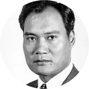 Ping-ti Ho - American historian