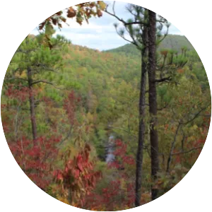 Pinhoti National Recreation Trail - 