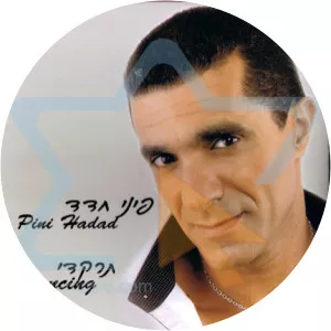 פיני חדד - Musical artist