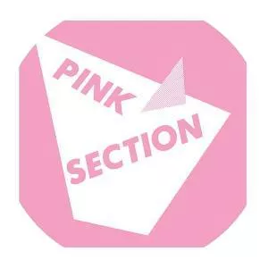 Pink Section - Musical group