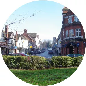 Pinner