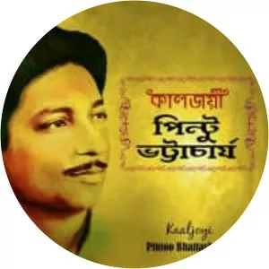 Pintoo Bhattacharya - Musical artist