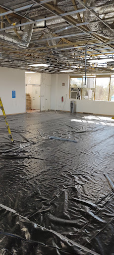 Pintor de Aguascalientes - 