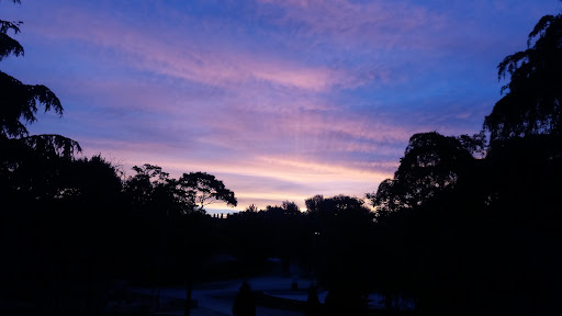 Pintor Sorolla-Salzillo - Bus stop in Mostoles, Spain