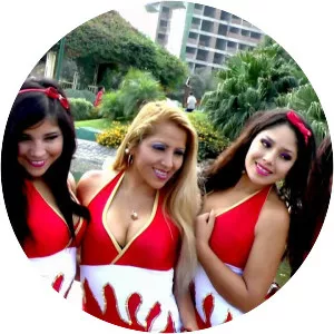 Pintura Roja - Musical band