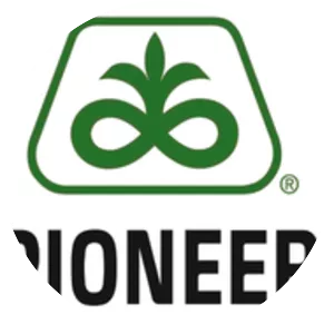 Pioneer Hi Bred International