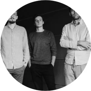 Piotr Budniak Essential Group