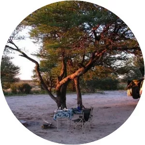 Piper pan - Lake in Botswana