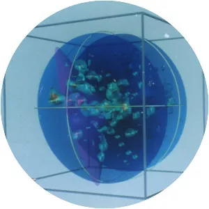 Pisces–Cetus Supercluster Complex - 