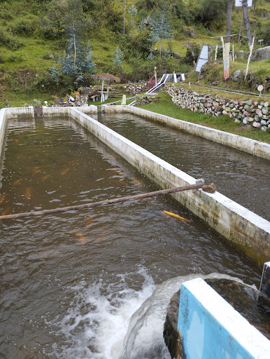 Piscigranja Municipal Salcabamba