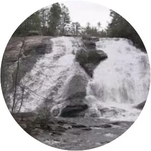 Pisgah National Forest