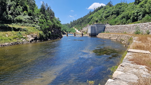 Pista de Pesca Desportiva - Fishing camp in Portugal